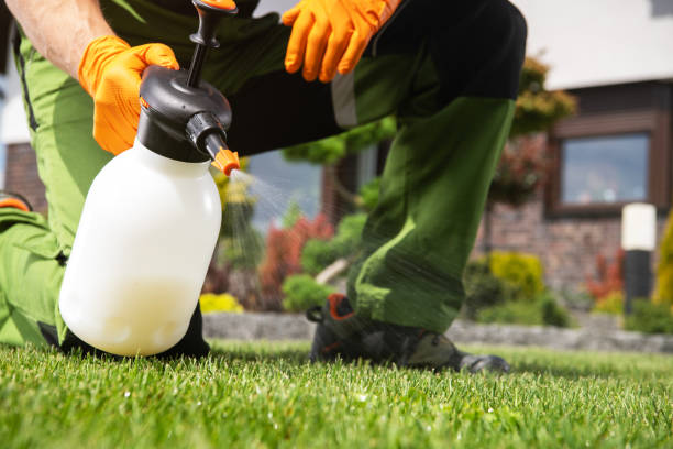 Best Best Pest Control Companies  in Merritt Park, NY