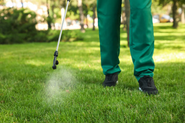 Wasp Removal Services in Merritt Park, NY