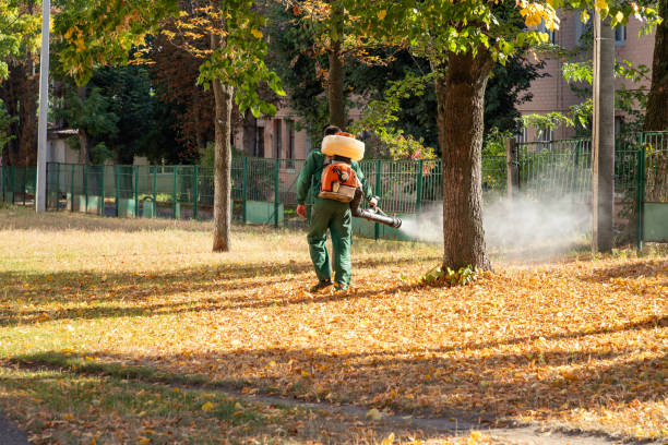 Best Mosquito Control Services  in Merritt Park, NY