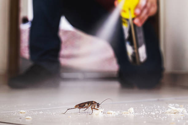 Best Residential Pest Control  in Merritt Park, NY