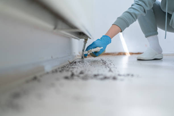 Best Best Pest Control Companies  in Merritt Park, NY