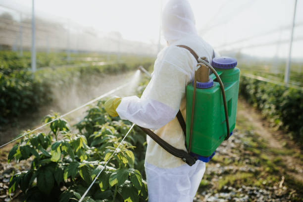 Best Commercial Pest Control Services  in Merritt Park, NY